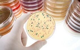 Diagnosis of parasitic diseases