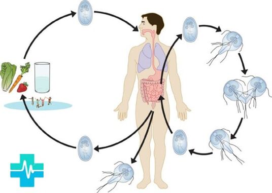 As a person can be infected